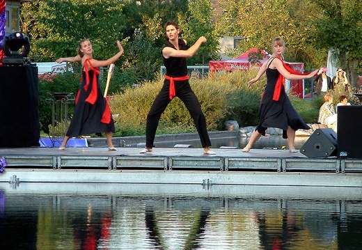 ArsSaltandi_2005_0903_FeuerUndWasser_Den_118b.jpg