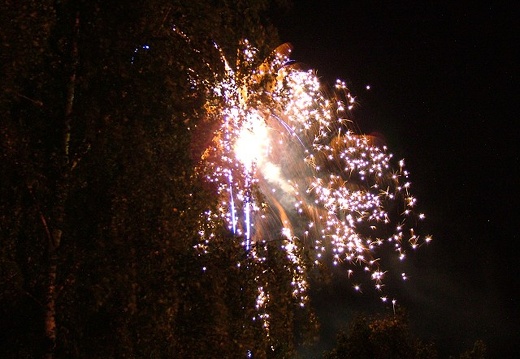Feuerwerk_2005_0903_FeuerUndWasser_Aku_569b.jpg