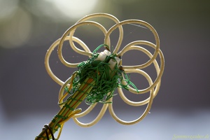 CiaSebas 20100905 PerfPad AKu 1252 1920x1280