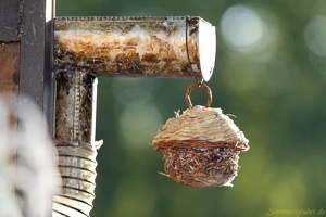 CiaSebas 20100905 PerfPad AKu 1257 1920x1280