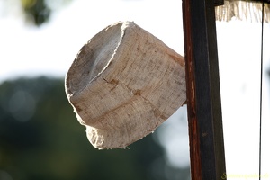 CiaSebas 20100905 PerfPad AKu 1262 1920x1280