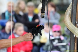 CiaSebas 20100907 PerfPad AKu 4167 1920x1280