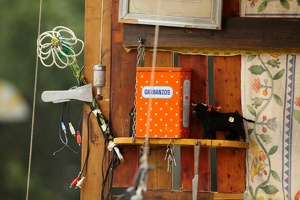 CiaSebas 20100908 PerfPad AKu 7809 1920x1280