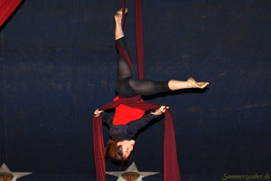 CircusZanzara 20100908 PerfPad AKu 6817 1920x1280