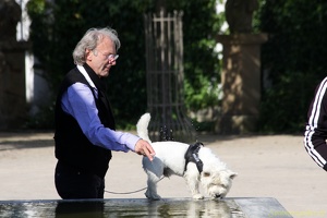 SZ 20100905 PerfPad Den 1570 1920x1280