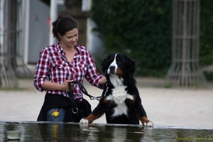 SZ 20100905 PerfPad Den 1615 1920x1280