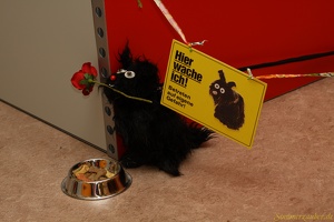 SZ 20100906 PerfPad AKu 2673 1920x1280