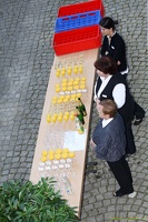 SZ 20100906 PerfPad AKu 2687 0853x1280