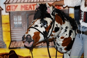 upART 20100908 PerfPad AKu 6850 1920x1280