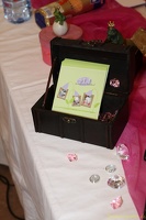 SZ 20110907 PerfPad Den 8214 0853x1280