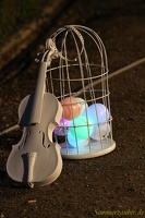 FenixTheatre 20130902 PerfPad AKu 4213 0853x1280