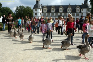 Gaensekapelle 20130903 PerfPad AKu 4999 1920x1280