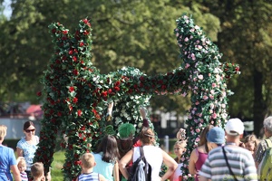 ZebraStelzentheater 20130904 PerfPad AKu 6369 1920x1280