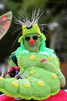 FenixTheatreCompany 20160905 PerfPad AKu 1713 0853x1280