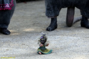 PasParTout 20160906 PerfPad AKu 4301 1920x1280