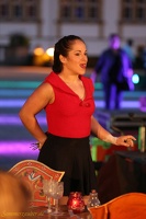 Hirondelles - ''Crêpes de la Bête''