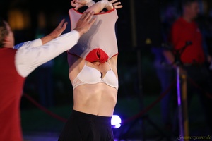 Hirondelles - ''Crêpes de la Bête''