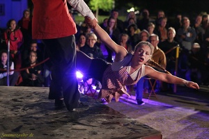 Hirondelles - ''Crêpes de la Bête''