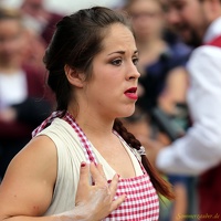 Hirondelles - ''Crêpes de la Bête''