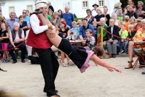 Hirondelles - ''Crêpes de la Bête''