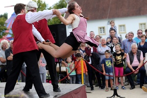 Hirondelles - ''Crêpes de la Bête''