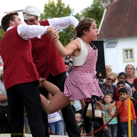 Hirondelles - ''Crêpes de la Bête''