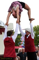 Hirondelles - ''Crêpes de la Bête''