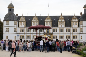 Hirondelles - ''Crêpes de la Bête''