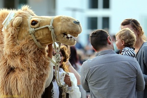 RicoartEntertainment 20170904 PerfPad AKu 5680 1920x1280-2