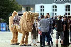 RicoartEntertainment 20170904 PerfPad AKu 5680 1920x1280