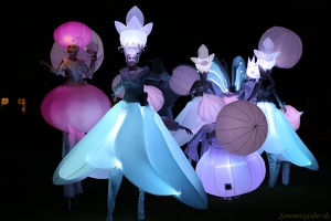 North-ArtCollectiv 20170905 PerfPad AKu 7977 1920x1280