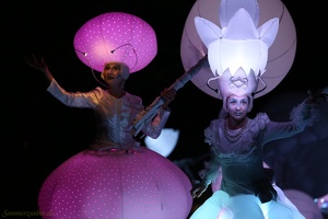 North-ArtCollectiv 20170905 PerfPad AKu 7979 1920x1280