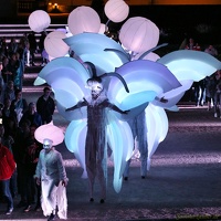 North-ArtCollectiv 20170905 PerfPad AKu 8039 1280x1280