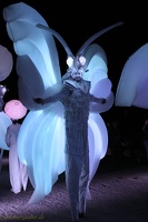 North-ArtCollectiv 20170905 PerfPad Den 2867 0853x1280