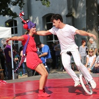 Lanordika 20180904 PerfPad AKu 1154 1280x1280