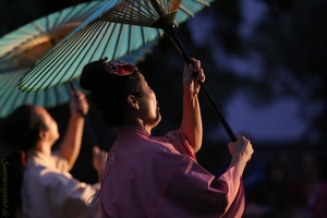 Senmaru 20180903 PerfPad AKu 8446 1920x1280