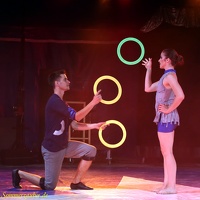 SZ 20190827 PerfPad Den 7515 1280x1280