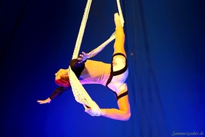 SZ 20190827 PerfPad Den 7567 1920x1280