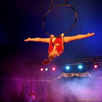 SZ 20190827 PerfPad Den 7939 1280x1280