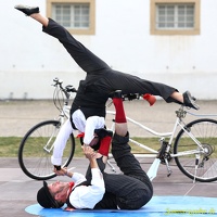 AkroKraks 20190827 PerfPad Den 7262 1280x1280