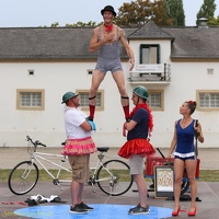 AkroKraks 20190827 PerfPad Den 7321 1280x1280