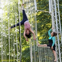 PuntoceroCompany 20190827 PerfPad Den 6693 1280x1280