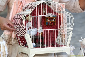 SilviaMartini 20190826 PerfPad Den 5851 1920x1280