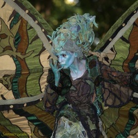 Waldwesen 20190826 PerfPad AKu 5585 1280x1280