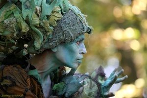 Waldwesen 20190826 PerfPad AKu 5610 1920x1280