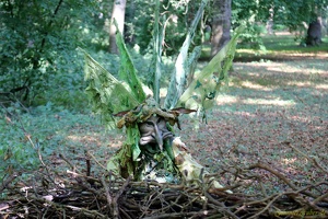 Waldwesen 20190826 PerfPad Den 5671 1920x1280