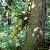 Waldwesen 20190826 PerfPad Den 5674 1280x1280