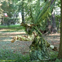 Waldwesen 20190826 PerfPad AKu 5620 1280x1280