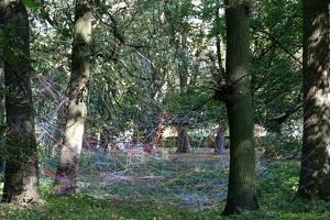 SZ 20190826 PerfPad Den 5778 1920x1280