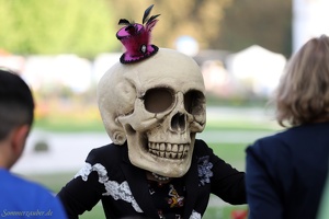 Casey Bundock+DADO  20220905 PP AKu  8206 1920x1280